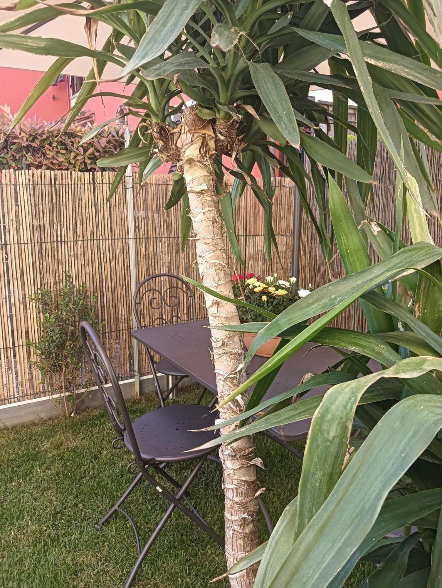 קאפאנורי Casa Vacanze Rustico Di Corte מראה חיצוני תמונה