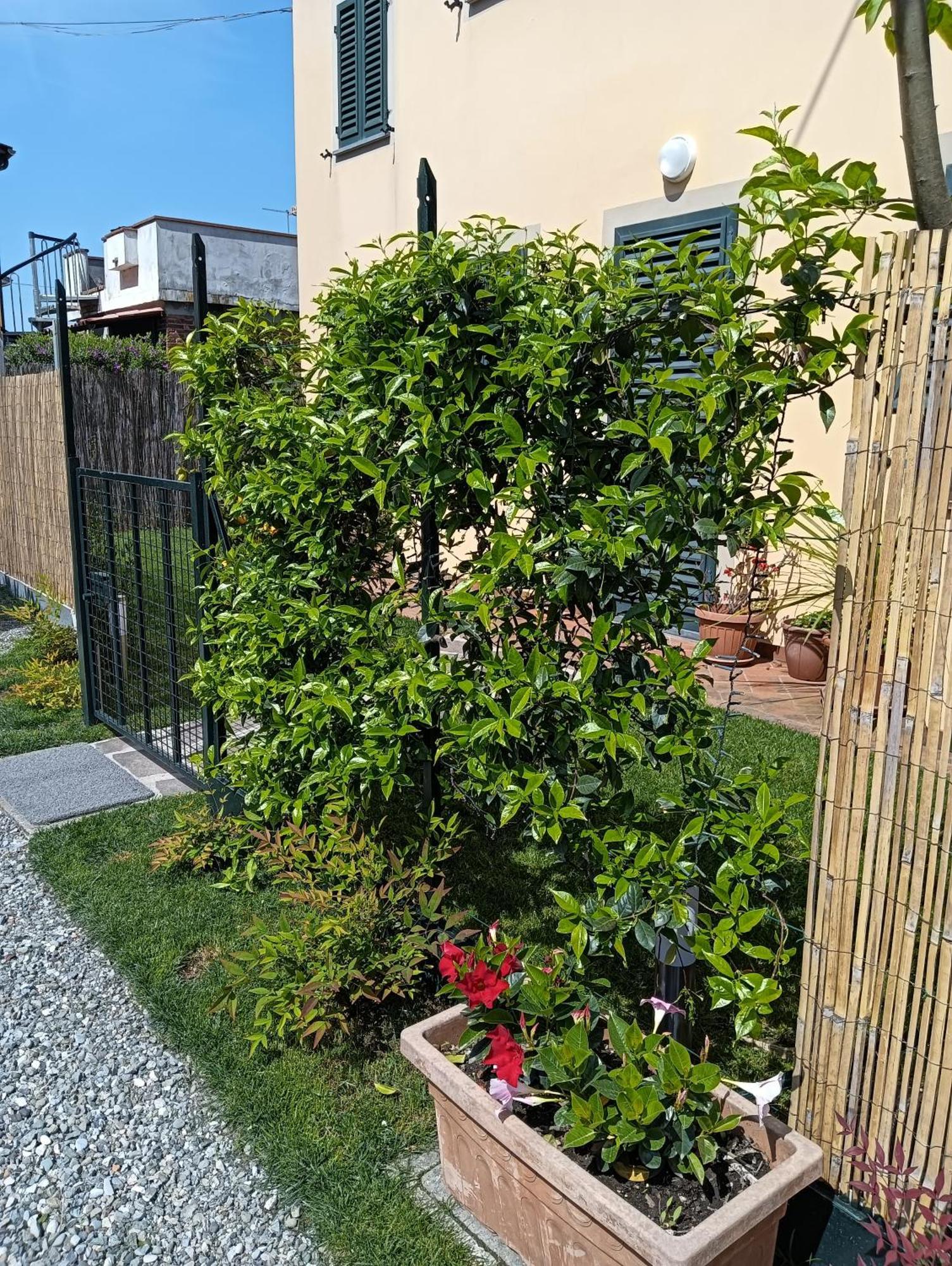 קאפאנורי Casa Vacanze Rustico Di Corte מראה חיצוני תמונה